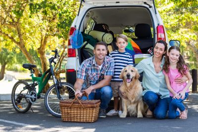 Car Insurance Solutions in Greenwald, MN from Greenwald Insurance Agency Inc