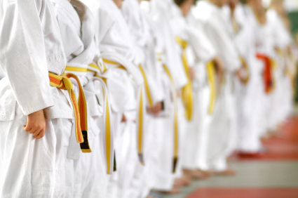 Martial Arts Insurance in Greenwald, St. Cloud, Sherburne County, Stearns, MN